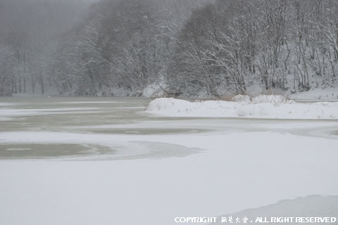 檜原湖畔・無名の沼の冬景色