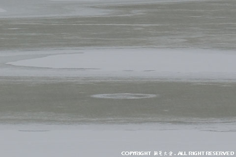 檜原湖畔・無名の沼の冬景色