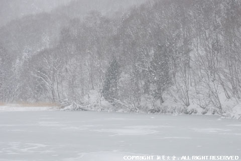 大沢沼の雪景色