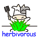 herbivorous の意味 英語イラスト