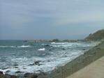 20100501201.jpg