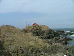 20100501203.jpg
