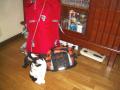 Sept. 03, 2009 002