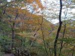 2010_1103_155459-IMG_0087.jpg