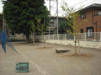 さいたま市立小学校 桜 植樹 ソメイヨシノ 八重桜 埼玉県さいたま市 植木屋 造園業