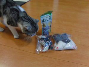 おもちゃ