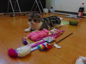 もっとあるよ!