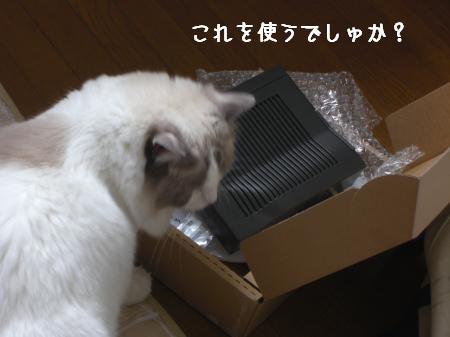 CIMG8989_convert_20090901155233.jpg