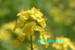 bl_0104_2.jpg
