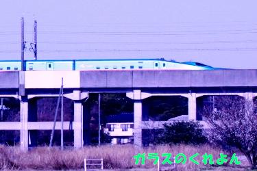 bl_0331_1.jpg