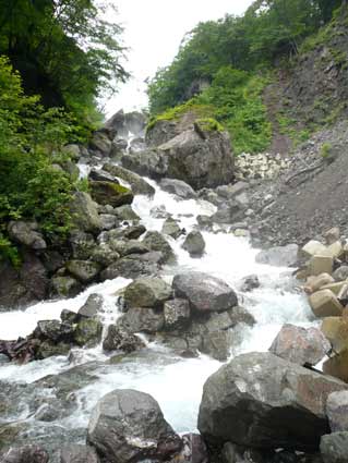 画像-331