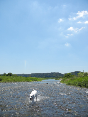 DSCN7857-8.jpg