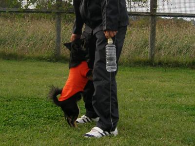 100B5462_2_convert_20091023230512.jpg
