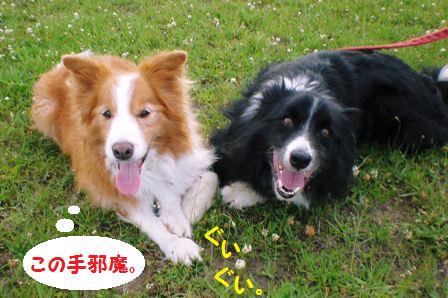 20100630_P6300042-2