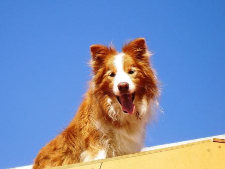 20100726_P7260032-2