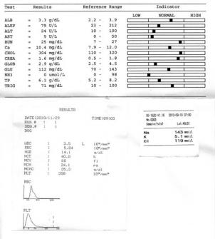 20101129.jpg