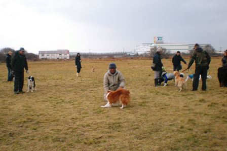20101205_PC050027.jpg