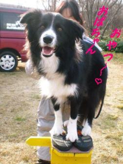 20101205_PC050068.jpg