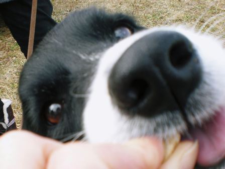 20101205_PC050116.jpg