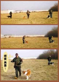 20101205連結画像-4