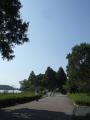 DSCF5017.jpg