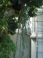 DSCF5157.jpg