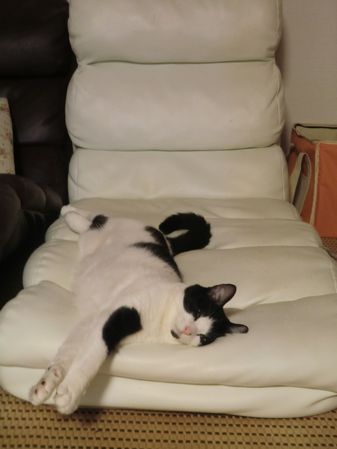 ままちゃん、うざいでしゅ。