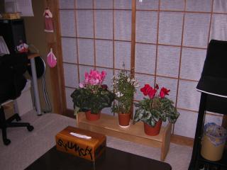 2001_0101_000000-P1020070.jpg