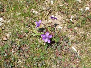2011_0421e0012.jpg