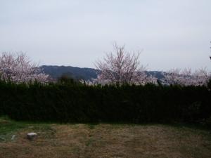 2011_0421e0019.jpg