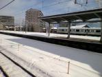P1000403.jpg