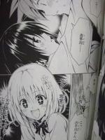20110304_04.jpg