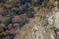 ns_convert_20091115204426.jpg