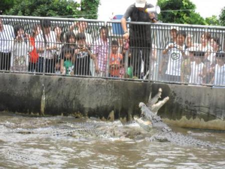 IMG_0958_convert_20110924105737.jpg
