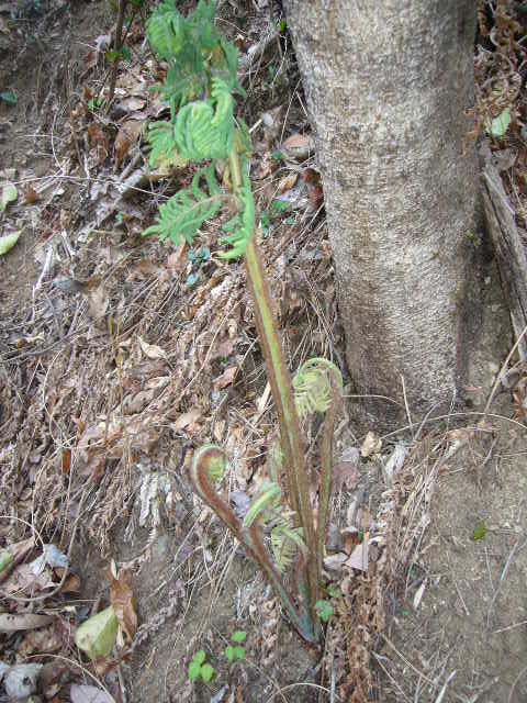 P1090244.jpg
