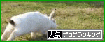 br_decobanner_20091101184607.gif