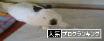 br_decobanner_20091104174828.gif