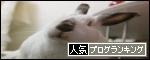 br_decobanner_20091106224330.gif