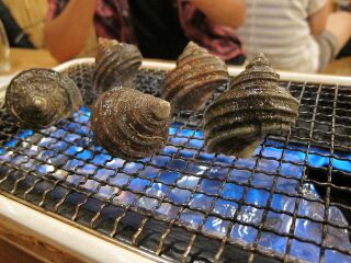 20110906_ケントスAJOBE02