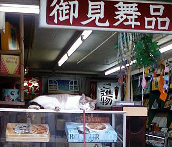 岡山駅西口奉還町商店街の看板猫