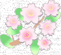 00edasakura-ss_20110422082848.gif