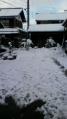 2011010109240000.jpg