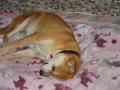 IMGP0682_20110105120627.jpg