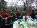 IMGP1131_20110404105124.jpg
