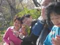 IMGP1136_20110404105156.jpg