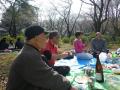 IMGP1137_20110404105155.jpg