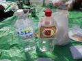 IMGP1141_20110404105244.jpg