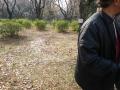 IMGP1144_20110404105331.jpg