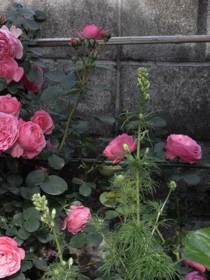 2011.5.9 005
