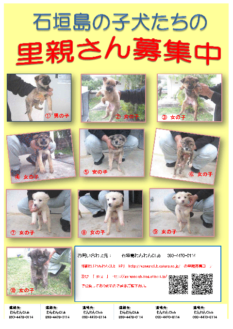 ishigaki201102.gif
